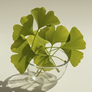 Ginkgo-Biloba 100g