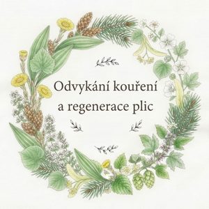 Odvykání kouření a regenerace plic - 25g